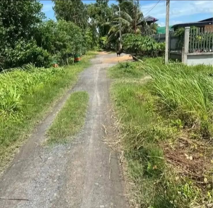 Đất nền 4.350m² tại Phường Hòa Thuận, Trà Vinh - Cơ hội đầu tư sinh lời tuyệt vời!