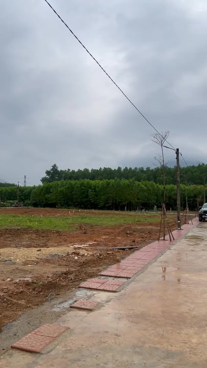 Đất nền Hòa Phú - Hòa Vang 120m² giá 1.2 tỷ - Cơ hội đầu tư tuyệt vời!