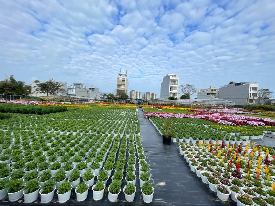 Đất mặt tiền Đường Thủy Sơn - Ngũ Hành Sơn - 125m² giá 8 tỷ - Sổ đỏ chính chủ!