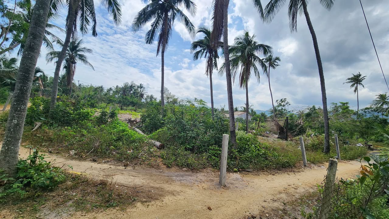 Đất thổ cư 200m² tại Xuân Lộc chỉ 349 triệu - Cơ hội đầu tư hiếm có!