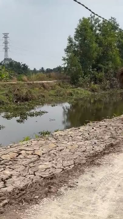 Đất vườn 500m² xã Thạnh Hòa - Bến Lức chỉ 400 triệu - Đầu tư sinh lời ngay!