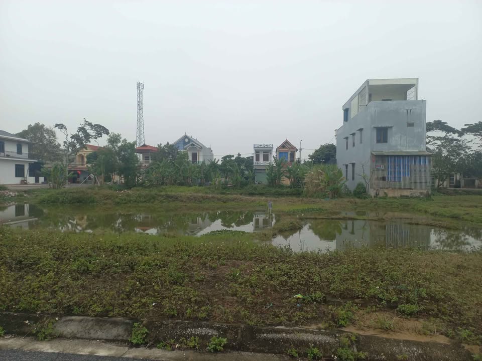 Lô đất 100m² tại xã Quảng Thái, huyện Quảng Xương - Giá chỉ 1.7 tỷ, vị trí đắc địa!