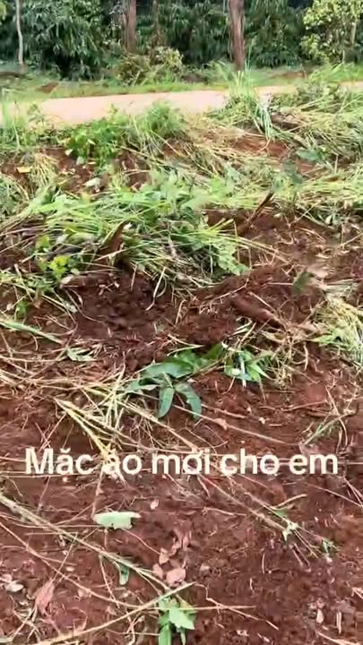 Đất nền 1020m² tại xã Ea M'DRóh, huyện Cư M'gar - Giá chỉ 370 triệu, sổ hồng chính chủ!