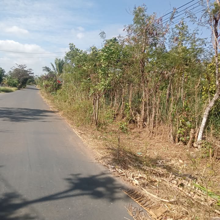 Đất nền xã Krông Na 800m² giá 5.6 tỷ - Cơ hội đầu tư tuyệt vời!