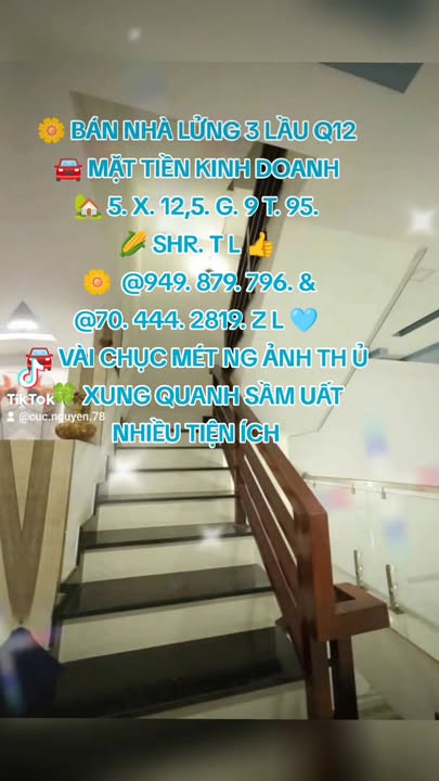 Nhà lửng 4 tầng mặt tiền kinh doanh Quận 12 - 62m² giá 9.975 tỷ - Sẵn sàng đón Tết!