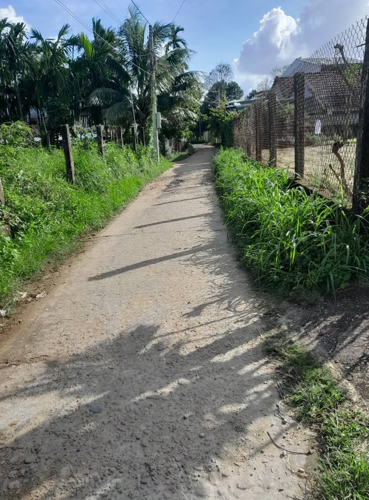 Đất nền Tịnh Sơn huyện Sơn Tịnh 165m² giá tốt - Đầu tư sinh lời!