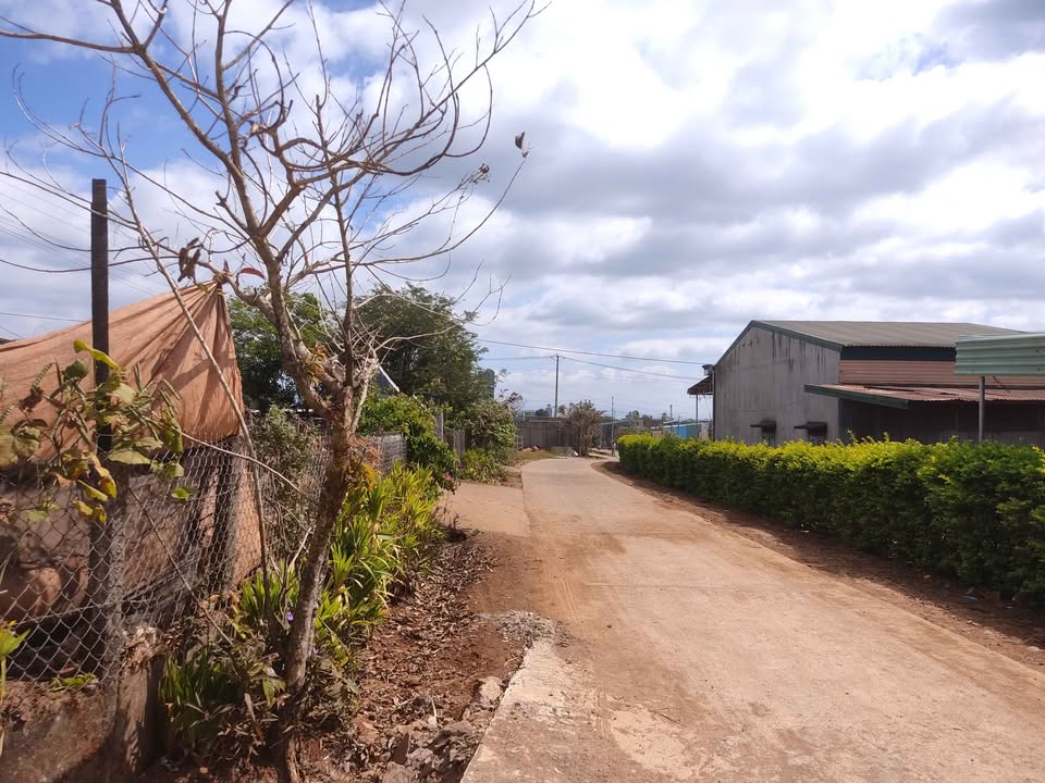 Đất nền Làng Nhao, Pleiku 125m² giá chỉ 470 triệu - Sổ hồng chính chủ!