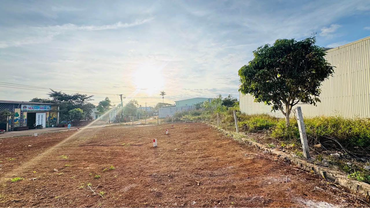 Lô đất hẻm 66 Lý Chính Thắng, Phường Hội Phú, 96m² giá 800 triệu - Đầu tư lý tưởng!