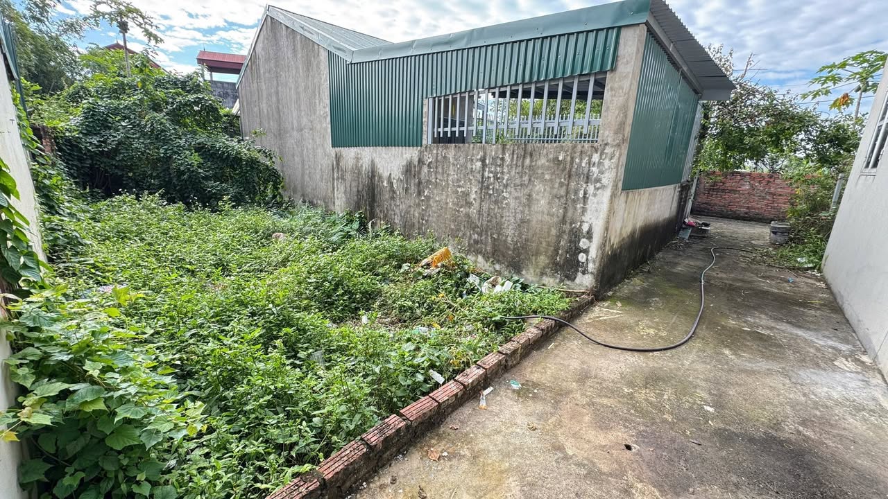 Đất nền Thôn Thiên Đông, Xã Tam Hưng, 51m² giá 3 tỷ - Cơ hội đầu tư tuyệt vời!