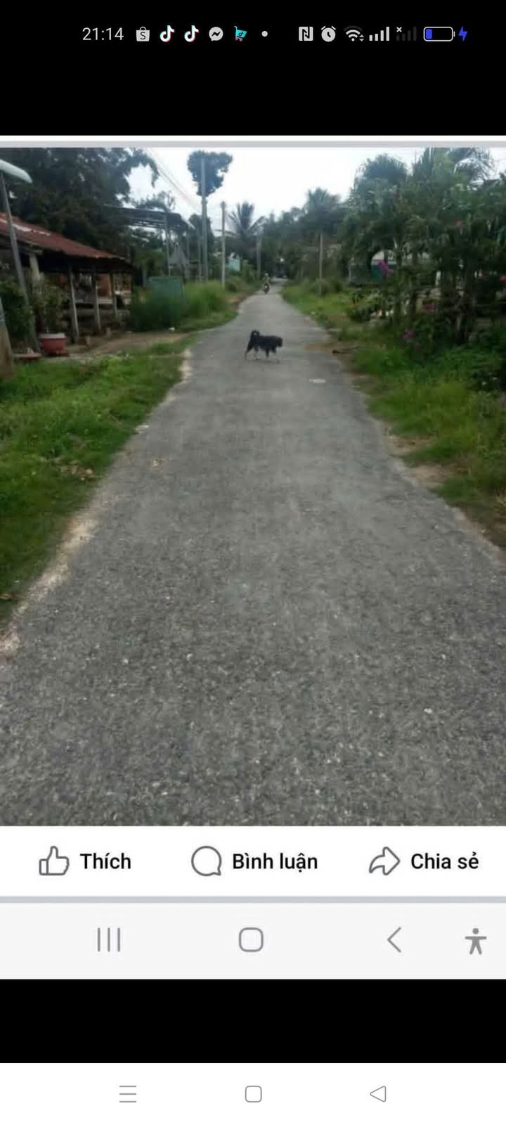 Đất nền mặt tiền nhựa Thanh Điền 180m² chỉ 375 triệu - Cơ hội đầu tư không thể bỏ lỡ!