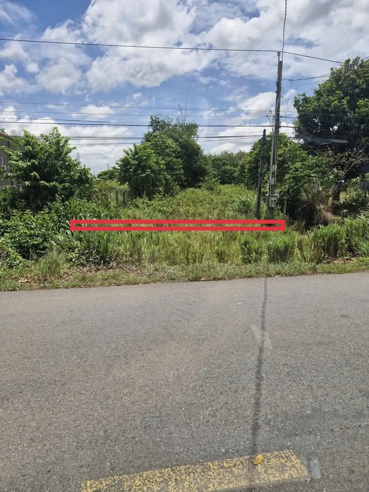 Đất thổ cư xã Phan, Dương Minh Châu 840m² giá 1.26 tỷ - Mặt tiền nhựa, view núi