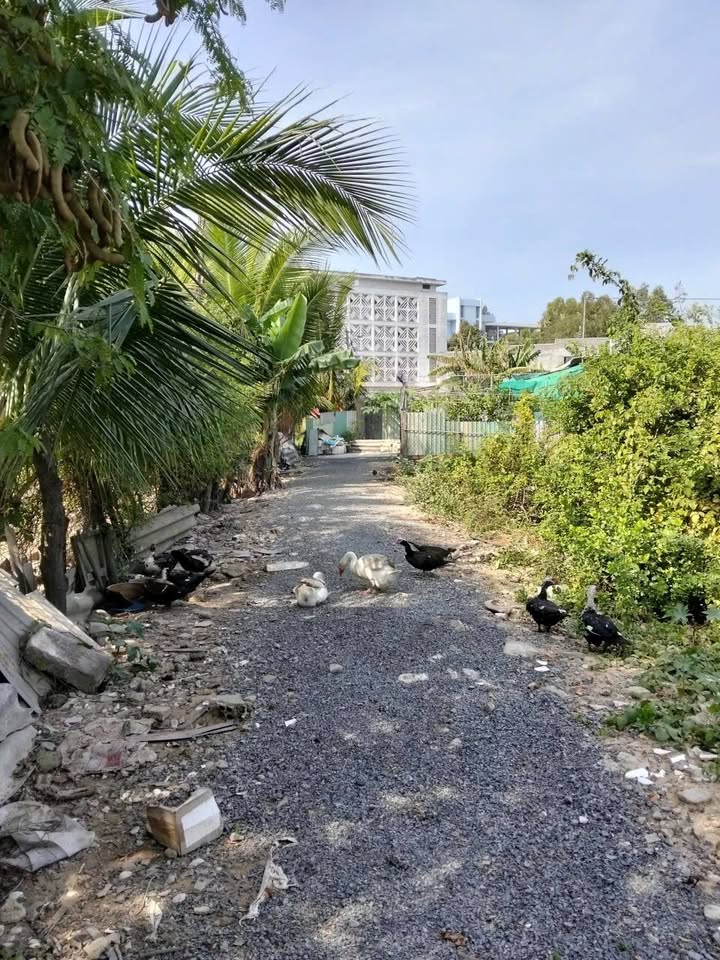 Đất nền Phú Tài, Phan Thiết 100m² giá 430 triệu - Cơ hội đầu tư hấp dẫn!