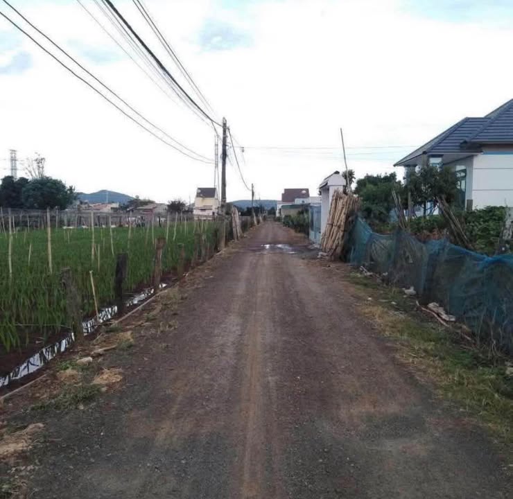 Đất nền Tổ 34, Liên Nghĩa, Đức Trọng 260m² giá 2.6 tỷ - Vị trí đắc địa, đầu tư sinh lời!