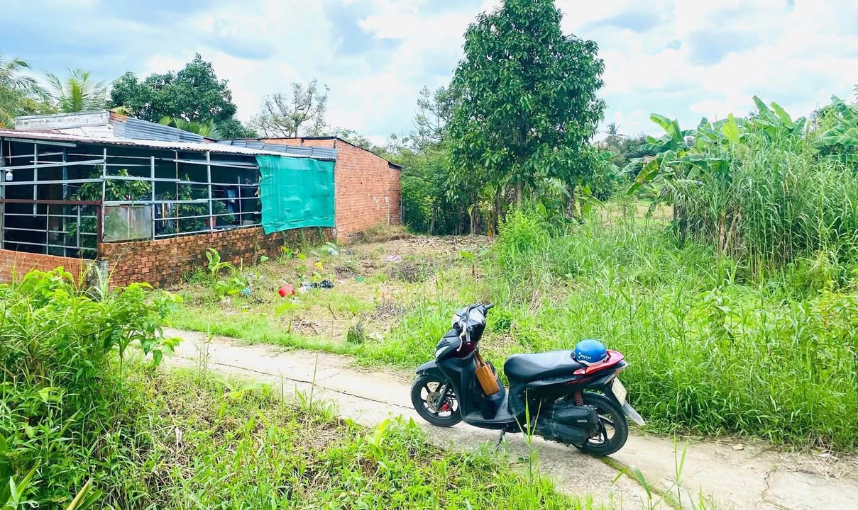 Đất thổ cư 82m² tại Ấp Tân Nhơn, Phong Điền, Cần Thơ - Giá chỉ 370 triệu!