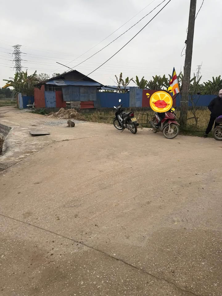 Lô đất thổ cư 458m² tại Xã Điềm Thụy - Giá chỉ 3.108 tỷ - Cơ hội đầu tư hấp dẫn!