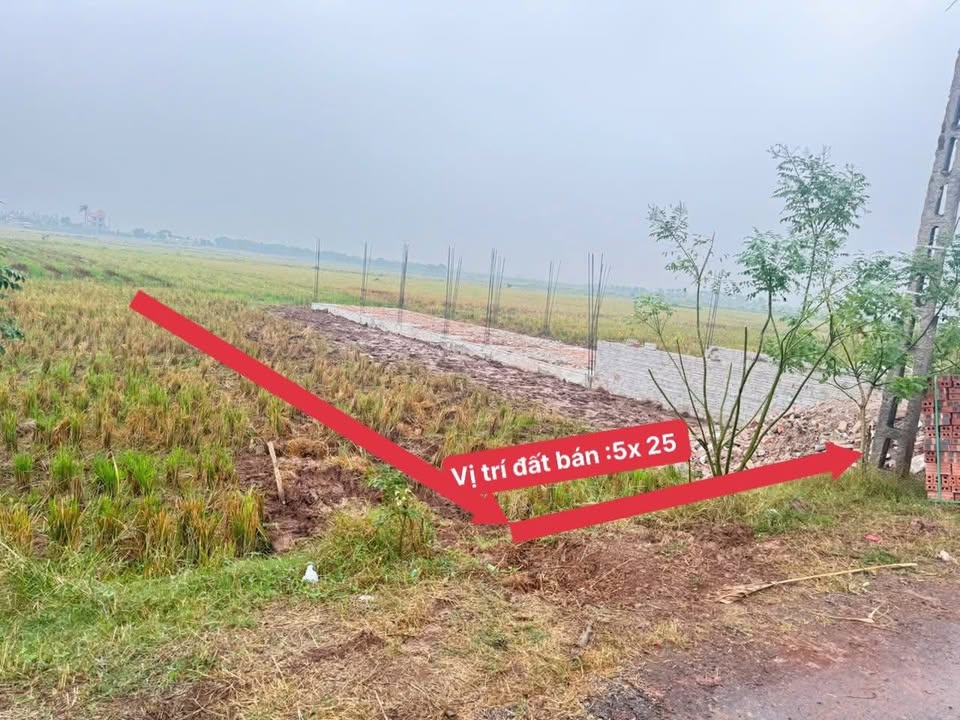 Đất nền Xóm 7 cũ Hồng Thuận 125m² - Sổ đỏ chính chủ giao ngay!