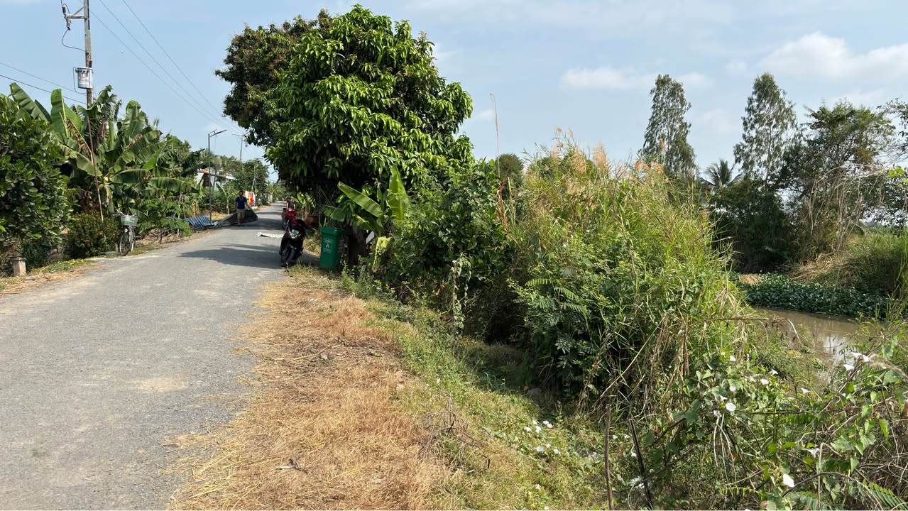 Đất nền thổ cư 155m² tại xã Phương Thịnh, Đồng Tháp - Giá 330 triệu, đầu tư sinh lời!