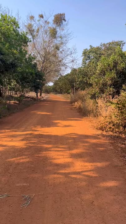 Đất nền 18.000m² tại Xã Bình Minh, Huyện Bù Đăng - Cơ hội đầu tư tuyệt vời!