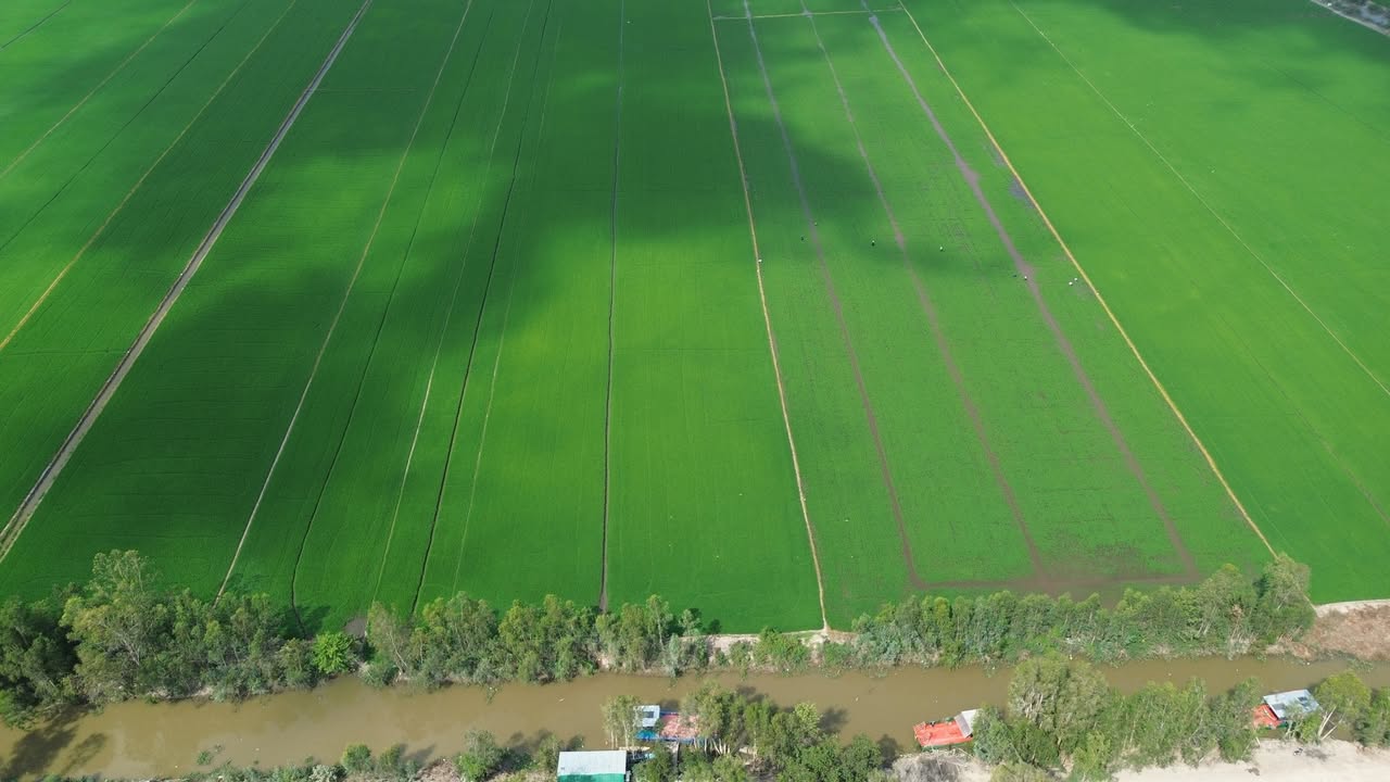 Đất nông nghiệp 90 Công (9 Hecta) tại Xã Tà Đảnh, Tri Tôn - Giá bán hấp dẫn!