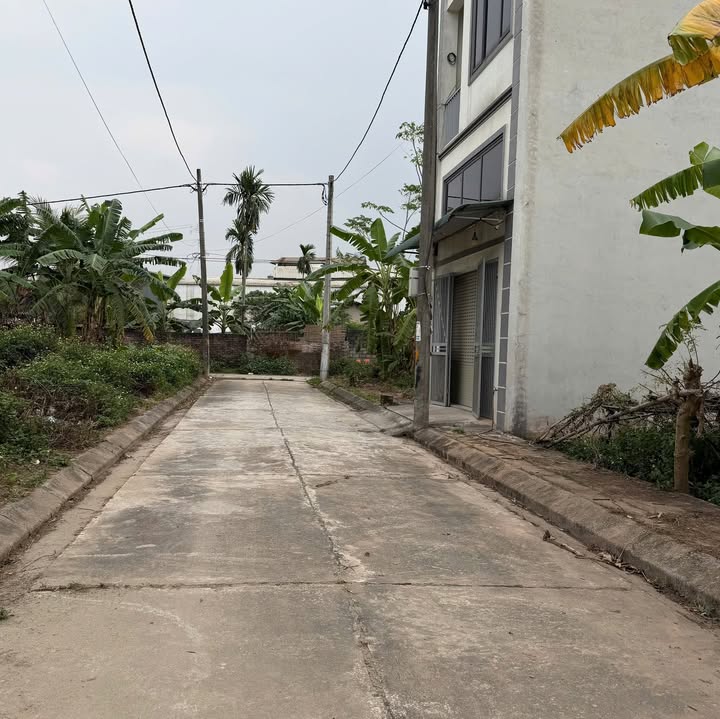 Đất Đấu Giá Biên Giang Hà Đông 52m² giá thỏa thuận - Vị trí đắc địa, tiện ích đầy đủ!