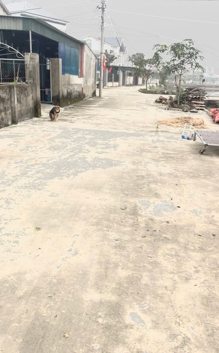 Đất nền Xóm 2, Hưng Tây, Hưng Nguyên 84m² giá 1 tỷ - Sổ đỏ chính chủ, đầu tư sinh lời!