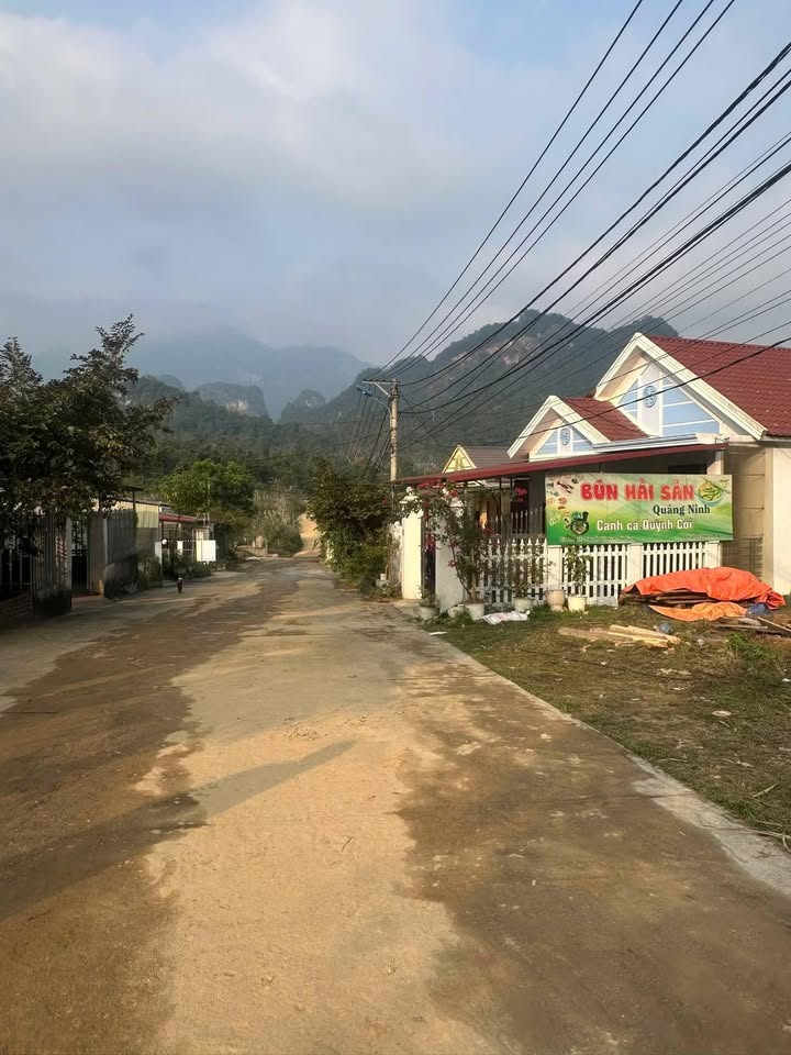 Đất thổ cư Tổ 3 Quang Trung 180m² giá 700 triệu - Đầu tư lý tưởng!