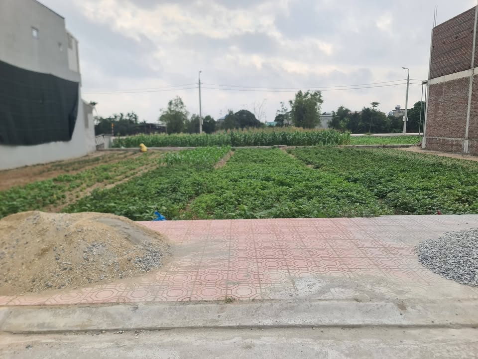 Đất nền khu TĐC Nam Hoa 140m² giá 3 tỷ - Sổ đỏ chính chủ