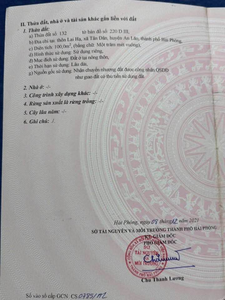 Đất nền góc 100m² Lai Hạ - An Hải, giá chỉ 1.3 tỷ - Cơ hội vàng đầu tư!