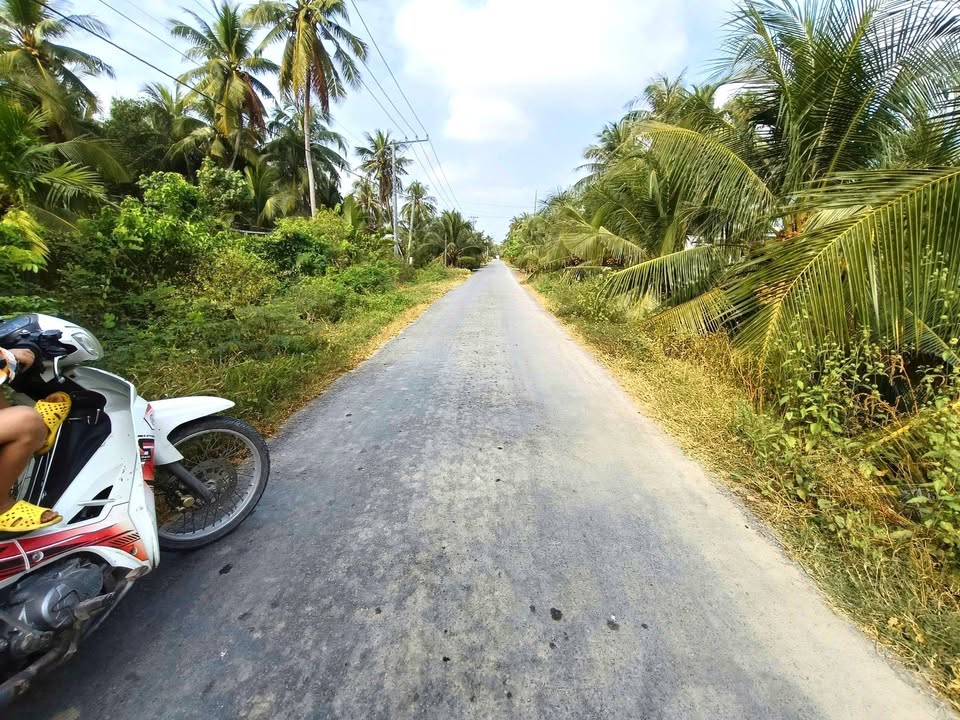 Đất nền mặt tiền huyện lộ xã Bình Tấn 450m² giá 750 triệu - Đầu tư sinh lời!