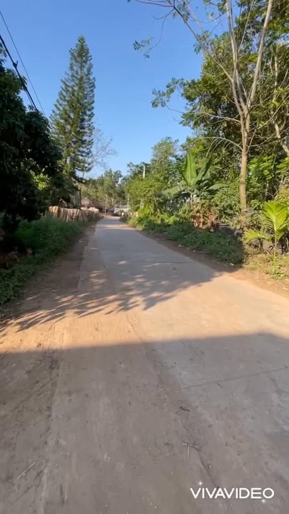 Đất Mặt Tiền Đường Tỉnh Lộ 293 Cũ, Xã Trường Sơn, 150m² - Đầu Tư Sinh Lời!