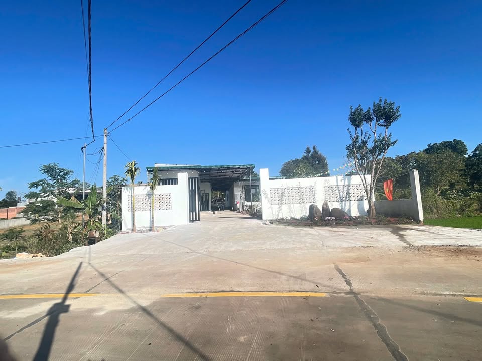 Nhà vườn phường Ea Tam Buôn Ma Thuột 1120m² giá 3.8 tỷ - View cánh đồng thoáng đãng!