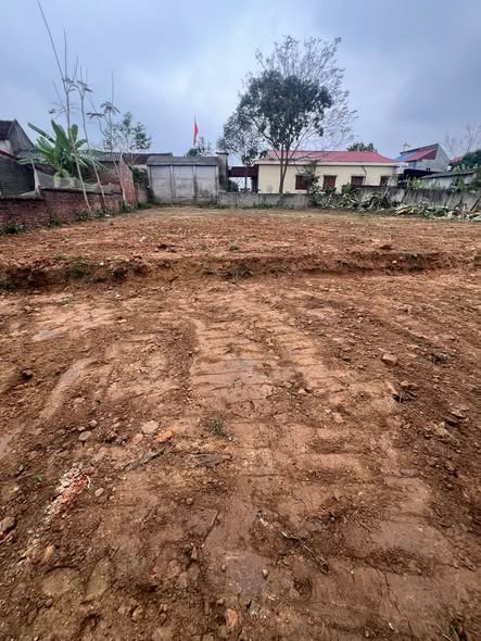 Đất nền Văn Tự Hiệp Hòa 163.6m² giá chỉ 1 tỷ - Vị trí đắc địa chờ bạn!