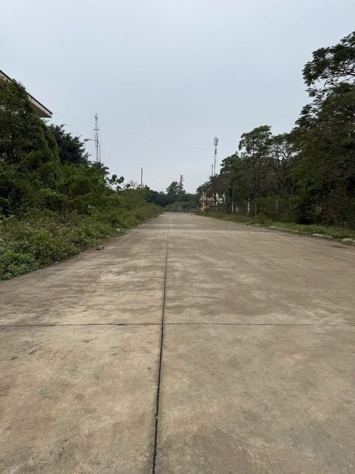 Đất Phân lô Quang Sơn Tam Điệp 100m² giá chỉ 1 tỷ - Cơ hội đầu tư tuyệt vời!