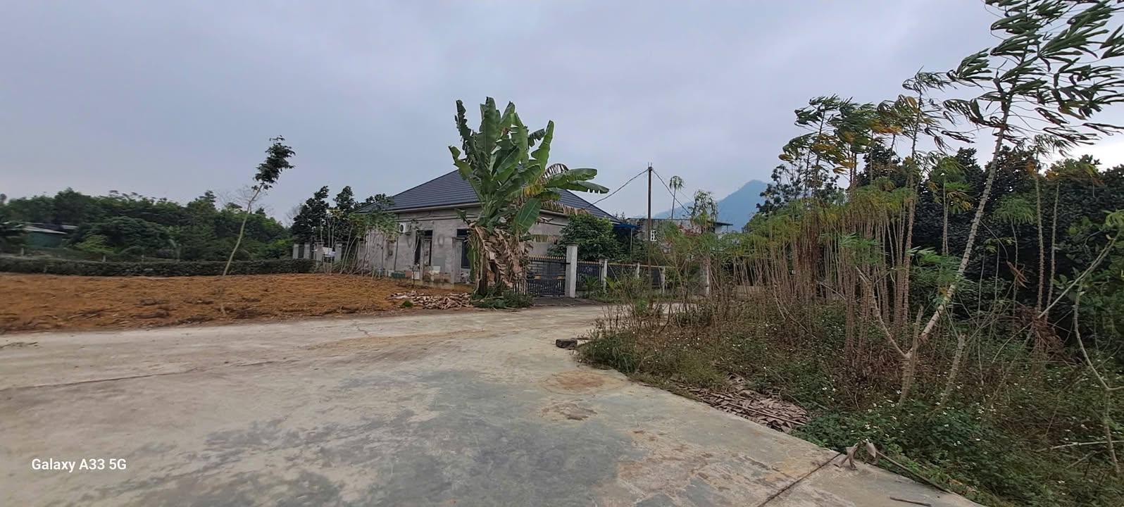 Đất nền TDP Yên Lộc, Phường An Tường, 252m² - Giá đầu tư hấp dẫn!