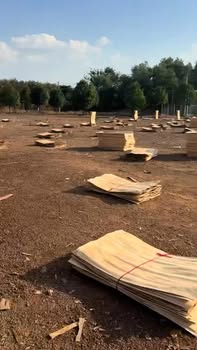 Đất nền thổ cư Hẻm 422, Tiến Hưng 1, Đồng Xoài – Sổ hồng đầy đủ, giá chỉ 600 triệu!