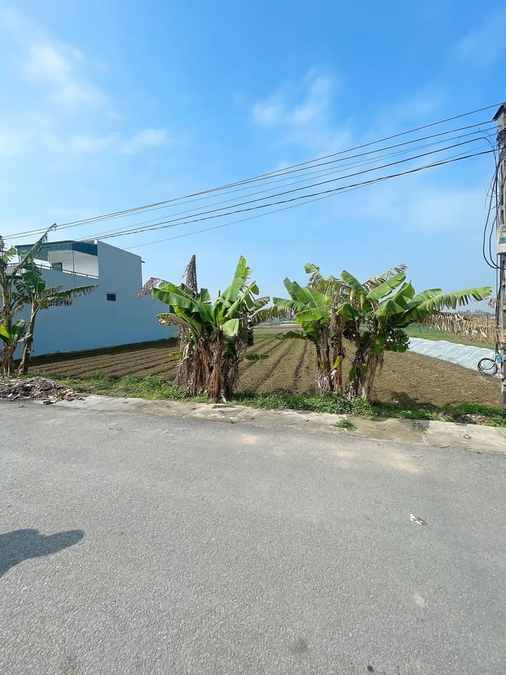 Đất thổ cư Quảng Hải, Thanh Hóa 150m² giá 800 triệu - Cơ hội đầu tư tốt!