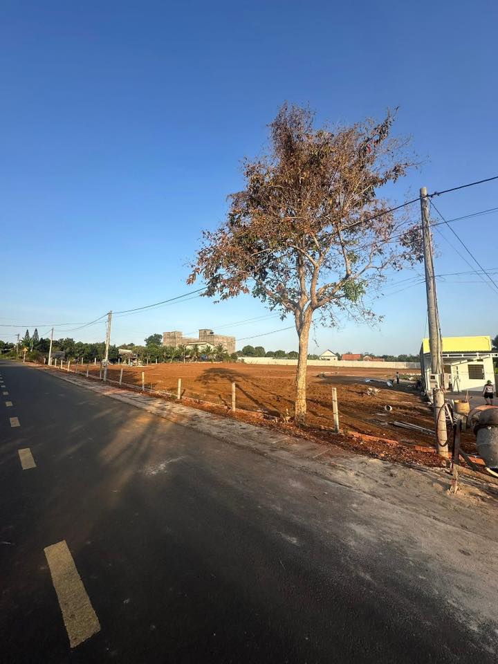 Đất cho thuê tại Thị trấn Đất Đỏ, Bà Rịa - Vũng Tàu 7500m² - Mặt tiền rộng, thuận lợi cho kinh doanh!