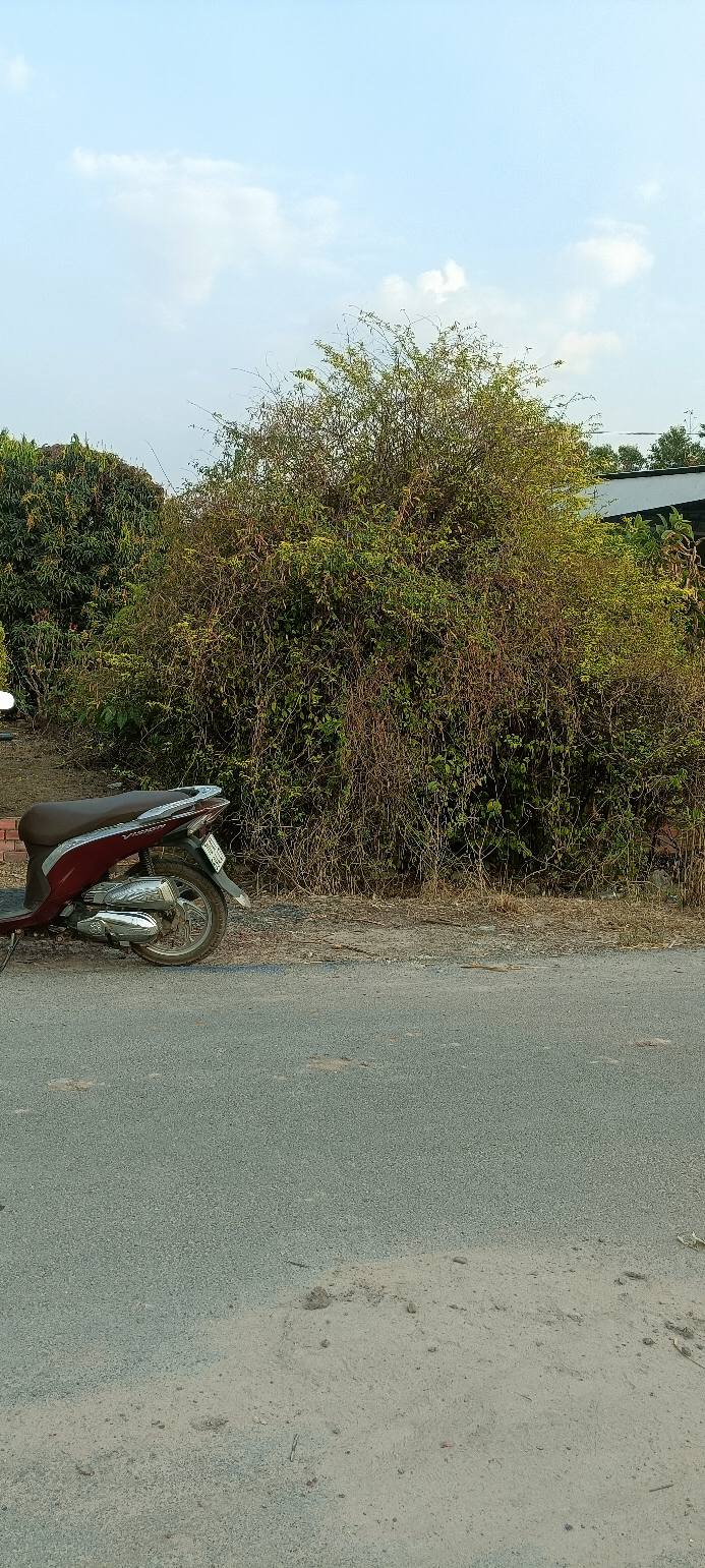 Đất thổ cư 500m² tại Ấp 3, Xã Tân Phú, Huyện Tân Châu - Chính chủ cần bán gấp!