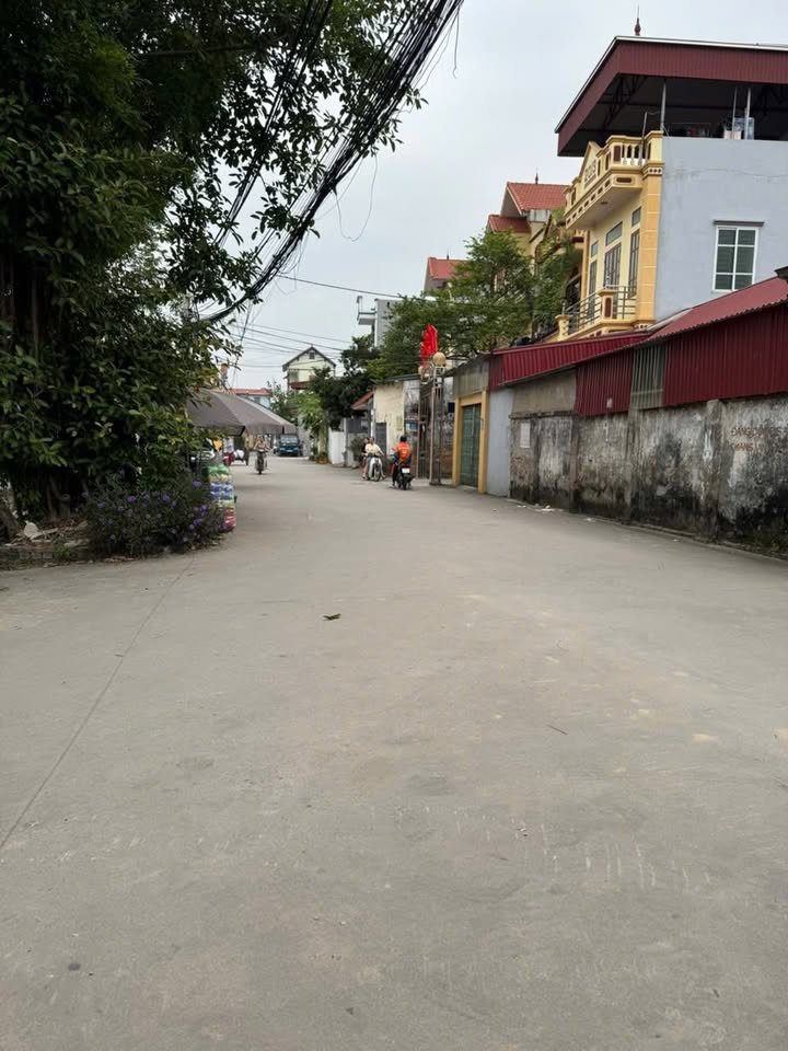 Đất nền Xã Tam Hưng, 154m², giá thỏa thuận - Đầu tư sinh lời ngay!