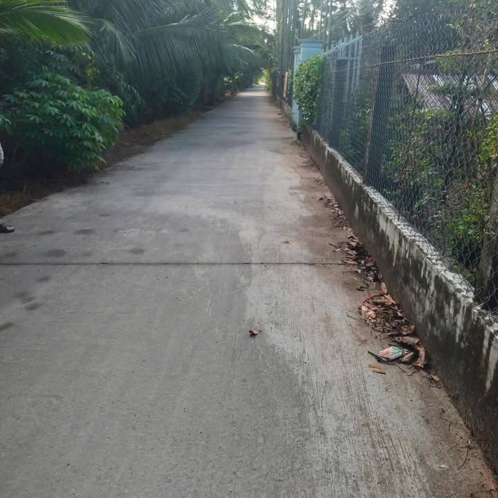 Đất nền Vị Thanh, Hậu Giang 1290m² giá 750 triệu - Đầu tư sinh lời ngay!