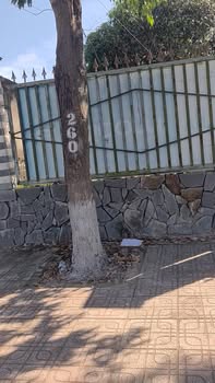 Đất nền đường Nguyễn Văn Trỗi, xã Phú Giáo, 546m² giá 13.1 tỷ - Vị trí đắc địa, đầu tư sinh lời!