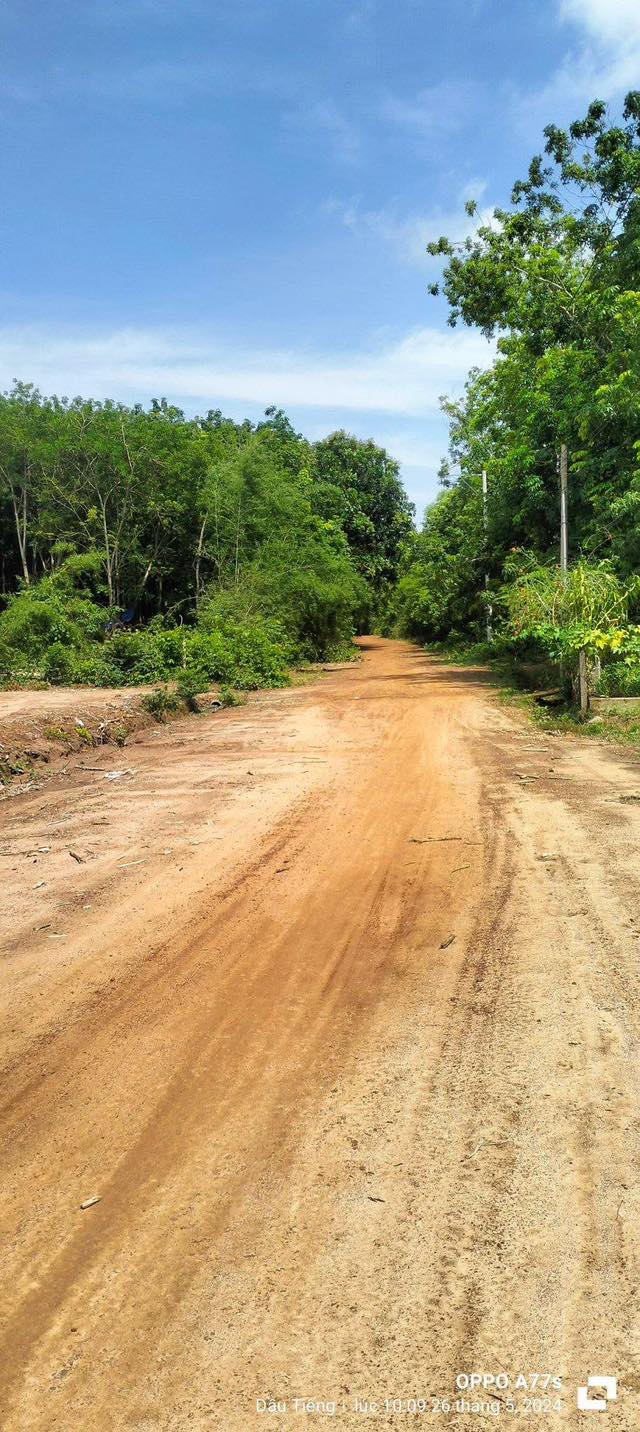 Đất thổ cư Xã Định Thành, Huyện Dầu Tiếng 3200m² giá 2.5 tỷ - Đầu tư sinh lời ngay!