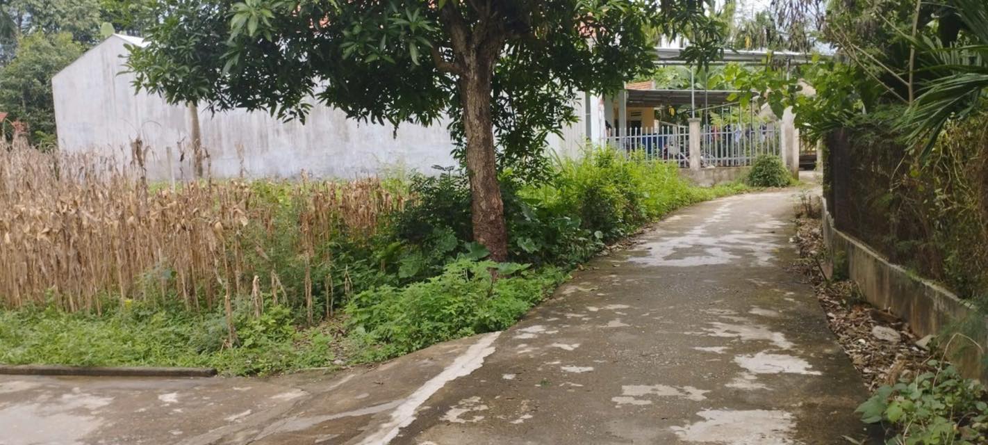 Đất ở Xã Nghĩa Thương, Huyện Tư Nghĩa 139m² - Gần Quốc Lộ 1A, Giá Thỏa Thuận!