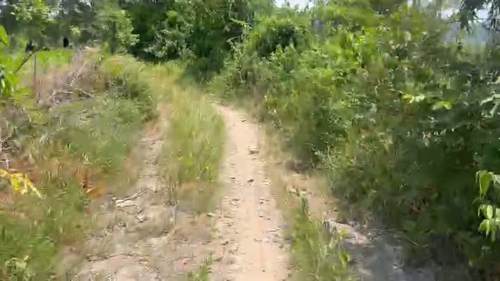 Đất Farmstay Bắc Bình, Bình Thuận 1.3ha giá chỉ 30 triệu/sào - Cơ hội đầu tư hấp dẫn!