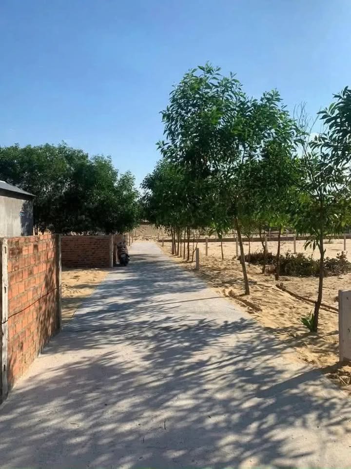 Đất nền chính chủ Bình Thạnh, Bình Sơn 300m² chỉ 79 triệu - Sổ hồng công chứng ngay!