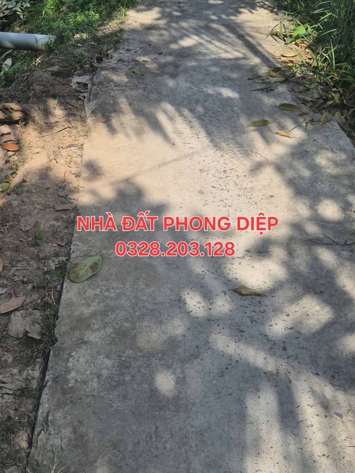 Farm đất vườn sầu riêng Phú Đức 1600m² giá 1.35 tỷ - Cơ hội đầu tư hấp dẫn!