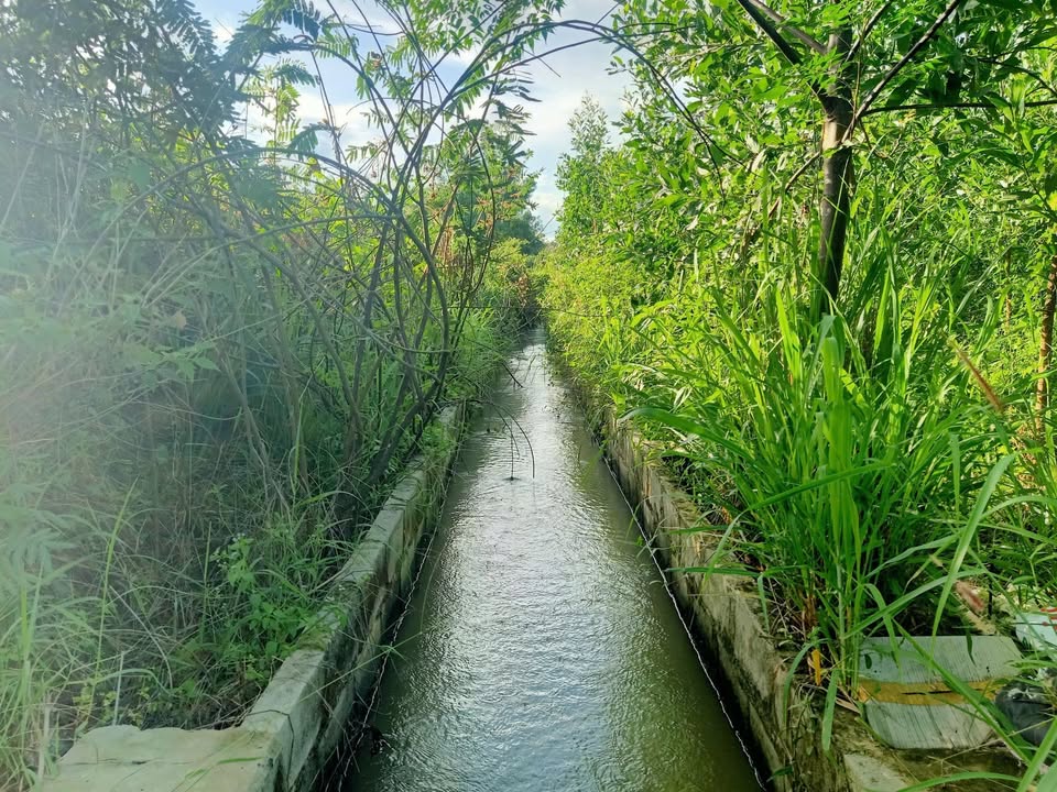 Đất nền đẹp tại La Gi, Bình Thuận - 200m² giá chỉ 1.5 tỷ, đầu tư sinh lời!