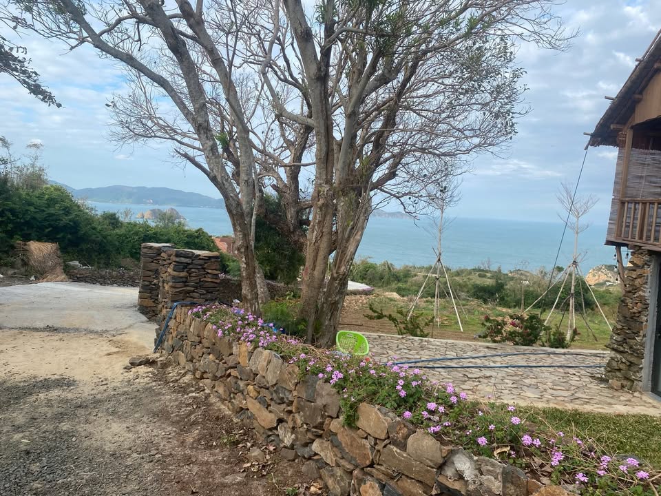 Đất nền An Ninh Đông - Tuy An 500m² giá chỉ 5xx triệu - Đầu tư lý tưởng!