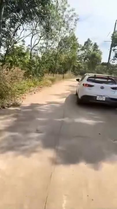 Đất nền 14400m² tại Ấp 6, Xã An Linh, Phú Giáo, giá 1 tỷ - Cơ hội đầu tư tuyệt vời!