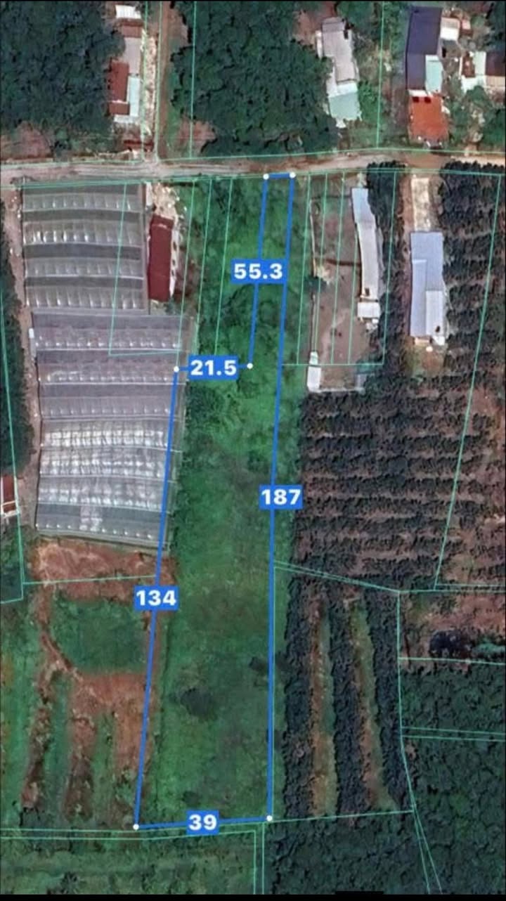 Đất nền 5000m² An Bình Phú Giáo giá 2.85 tỷ - Tiềm năng phát triển mạnh mẽ!